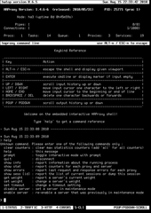 interactive ncurses client for haproxy