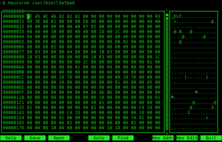 Ncurses-based hex editor with many features