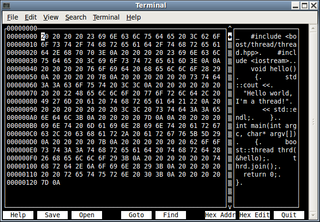 Ncurses-based hex editor with many features