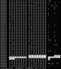 hexer -c "set bg=16", version 0.1.7-1.1
