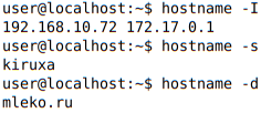 view IP, localhost, domain