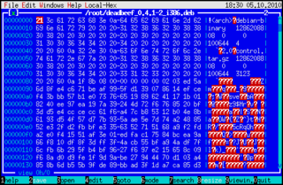 Viewer/editor/analyser (mostly) for executables