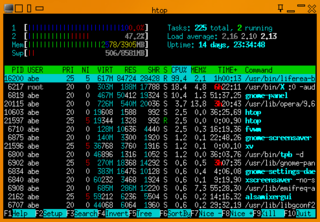 interactive processes viewer