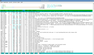 interactive processes viewer