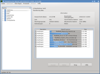 program for downloading of internet sites