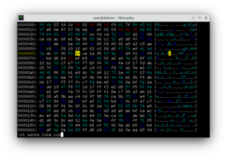 minimalistic but powerful vim-like hex editor
