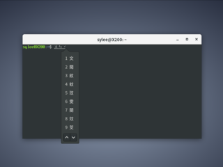 The user interface while using ibus-zhuyin to input traditional Chinese in GNOME