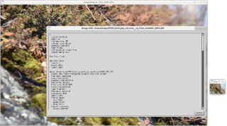 image manipulation programs -- quantum depth Q16