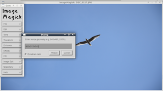 resize image 1 from 3