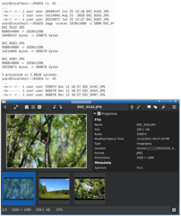 Superfast batch image resizer and rotator