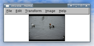 if view nef - display thumbnail