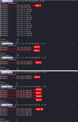 parameter calculator for IPv4 and IPv6 addresses