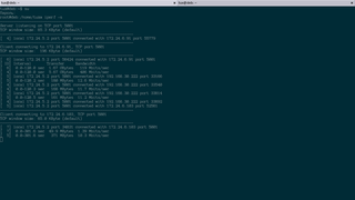 Internet Protocol bandwidth measuring tool