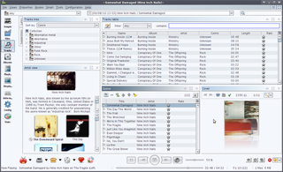 advanced jukebox and music organizer