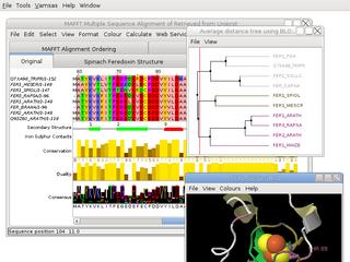 multiple alignment editor