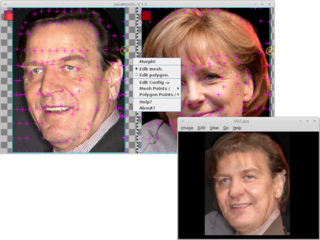 Java morphing film-make program for pixel picture-input