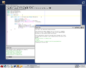 Plugin-based editor for programmers