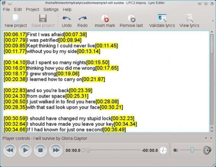 Karaoke lyrics editor