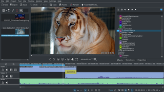 non-linear video editor