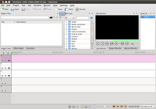 Ubuntu 10.04 shot 