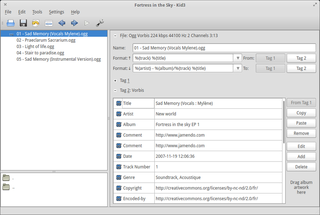 Audio tag editor