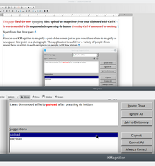 screen magnifier tool