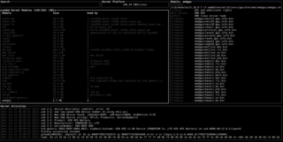 Interactive kernel monitor that combines dmesg and kmod