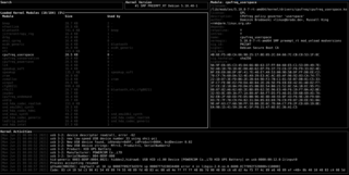 Interactive kernel monitor that combines dmesg and kmod