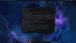 X terminal emulator