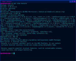 X terminal emulator