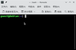 X terminal emulator