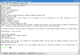 X terminal emulator