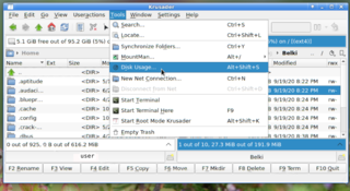 Disk Usage_1
