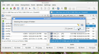 Disk Usage_2 (/home/user/)