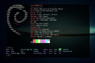 Korn shell running on st with neofetch