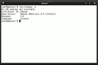 kterm running on Debian Stretch w/ e17