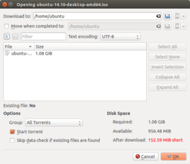 Open a torrent