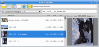 Image editor with raster and vector layers (gtk2)