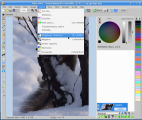 Image editor with raster and vector layers (gtk2)