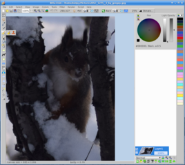 Image editor with raster and vector layers (gtk2)