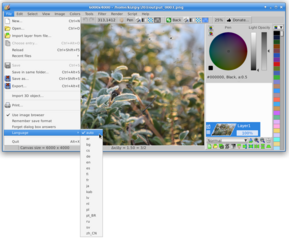 Image editor with raster and vector layers (gtk2)