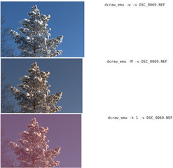 raw image decoder library (tools)