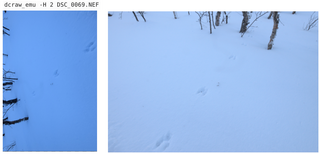 raw image decoder library (tools)