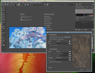 Krita+libraw (After_start Krita may read about libraw)