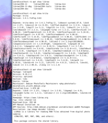 raw image decoder library