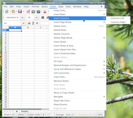 office productivity suite -- spreadsheet