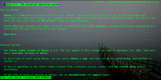Web browser running in text mode