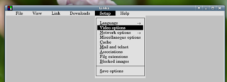 Menu-Setup-Video options_1