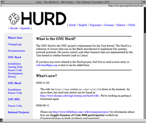 Web browser running in both graphics and text mode