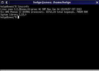 Linuxinfo on a current amd64 system